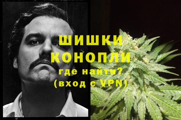ECSTASY Вяземский