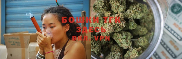 ECSTASY Вяземский