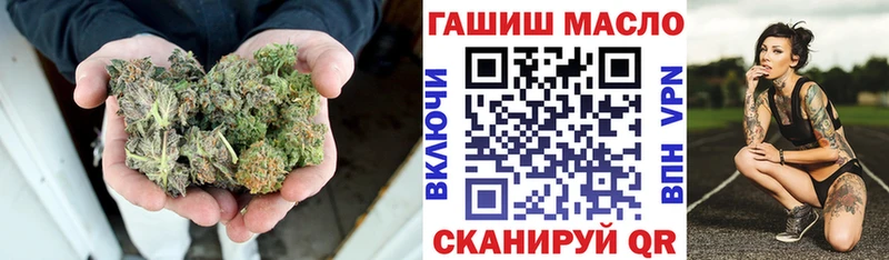 Купить где  Советск  ТГК концентрат 
