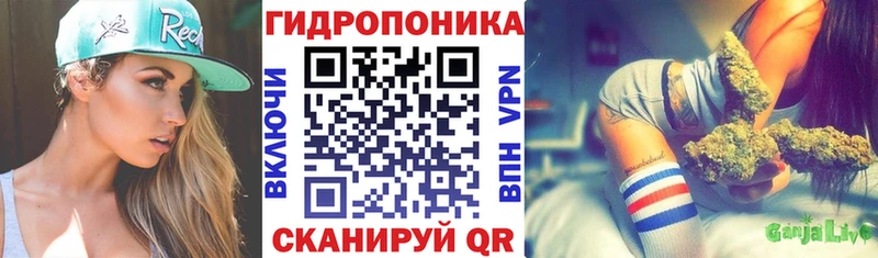 Купить где  Советск  Канабис гибрид 